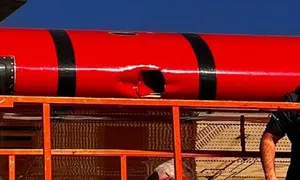 Máy bay chữa cháy rừng ở Los Angeles bị vô hiệu hóa vì một drone Máy bay chữa cháy rừng ở Los Angeles bị vô hiệu hóa vì một drone